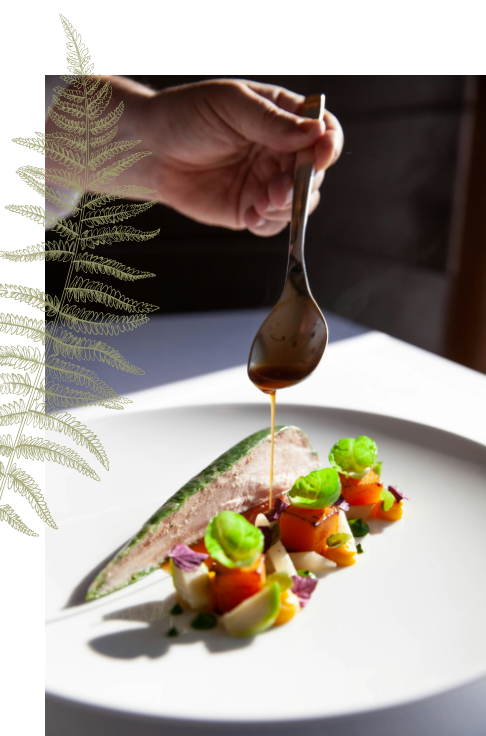 chef-finishing-sauce-of-michelin-star-meal
