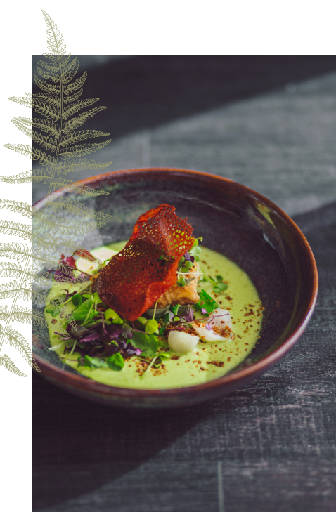 close-up-of-fine-dining-starter