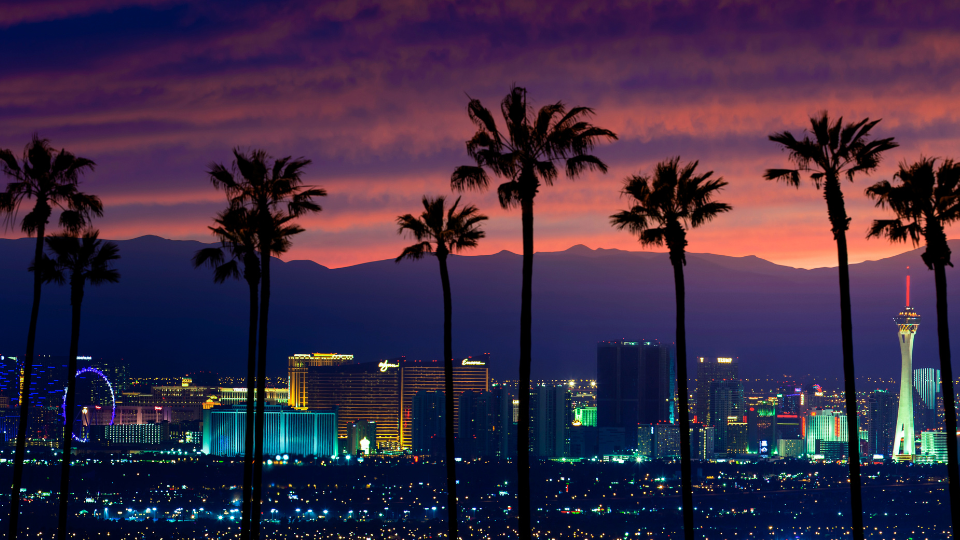 LA Skyline